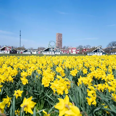 Dom wakacyjny Strandpark H052 Sierksdorf